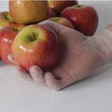 Vinyl Gloves, Powder Free 100/Box